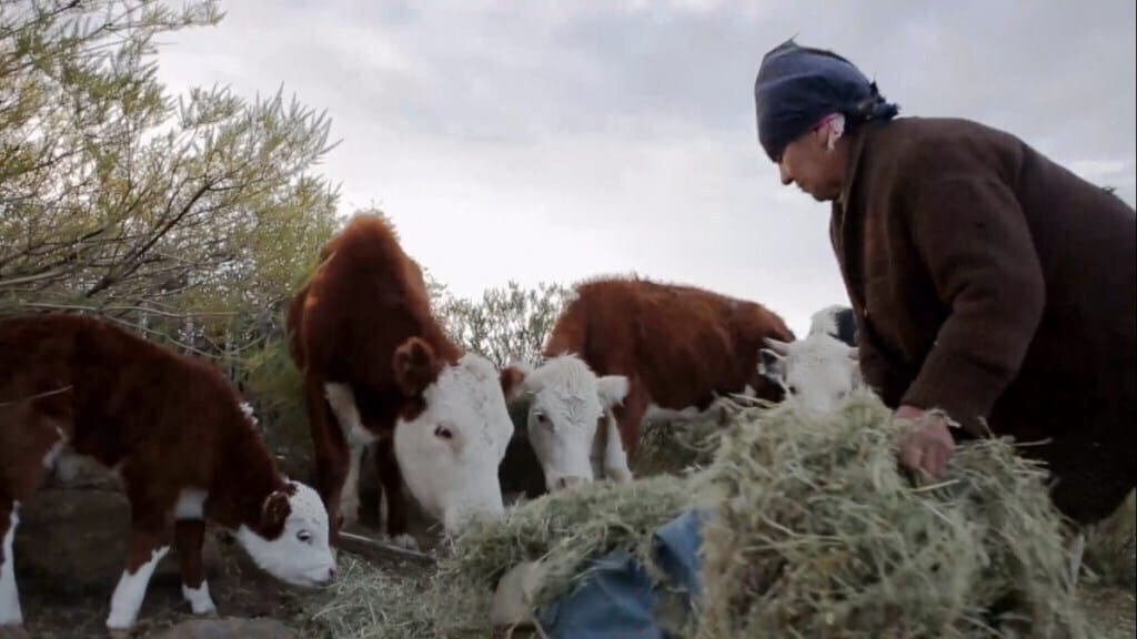 Captura-de-pantalla-2019-01-22-14.50.59