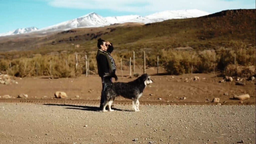 Captura-de-pantalla-2019-01-22-14.55.57