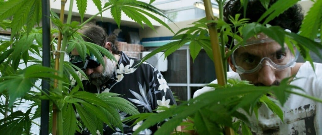 fotogramas__1.13.1-1