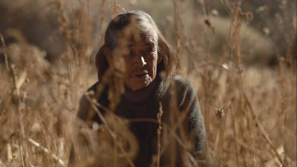 Captura-de-pantalla-2019-02-03-22.56.23