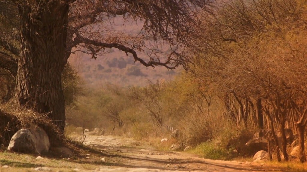 36150d_999fded252cd4205ad7ab00a7b7f23fe_mv2