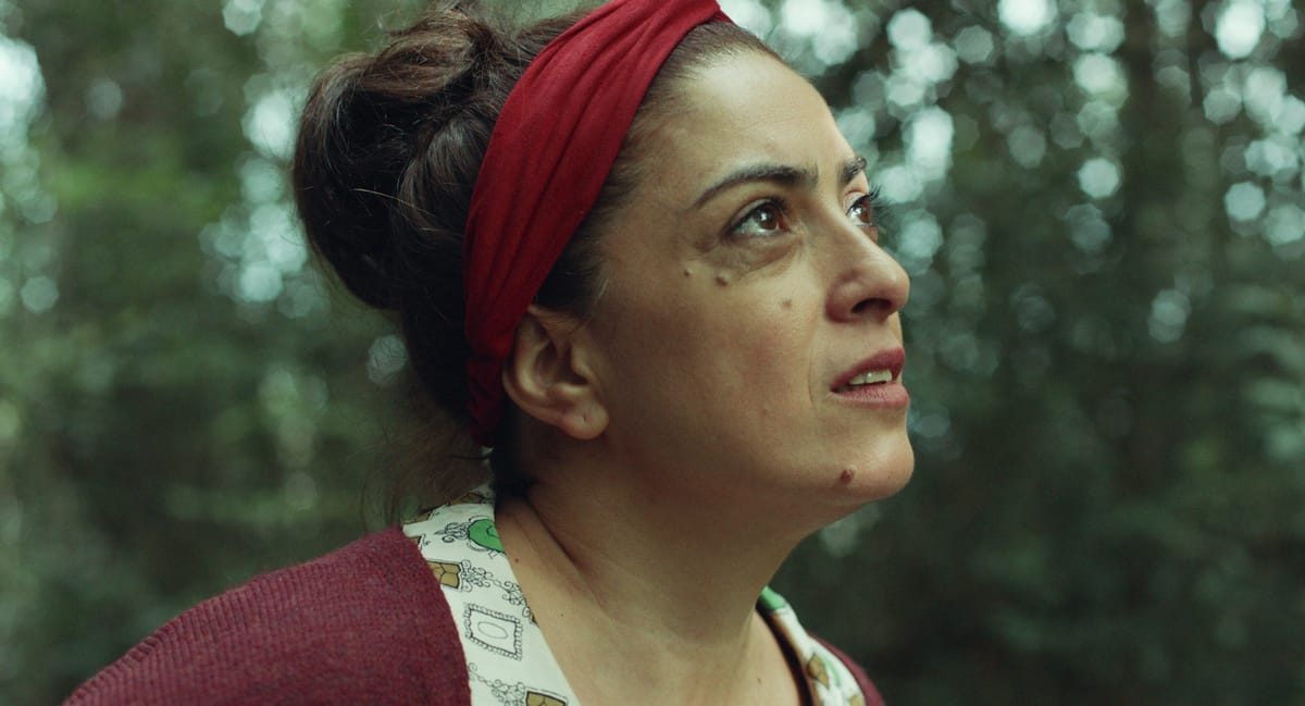 lada_ftr_es-xx_24p_2k-flat_PR4_51_190326.00_27_39_03.Still035