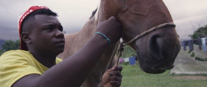 FIDBA2020: programación del domingo 13 de septiembre