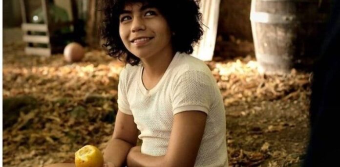 Trascendió el tráiler de 