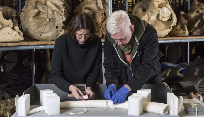 Cuatro largometrajes inéditos participan en Frontera Sur, que comienza el 1 de julio online