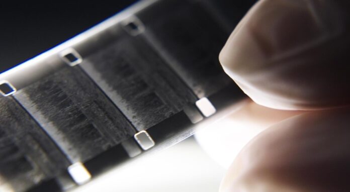 WhatsApp Image 2025-06-10 at 22.17.59